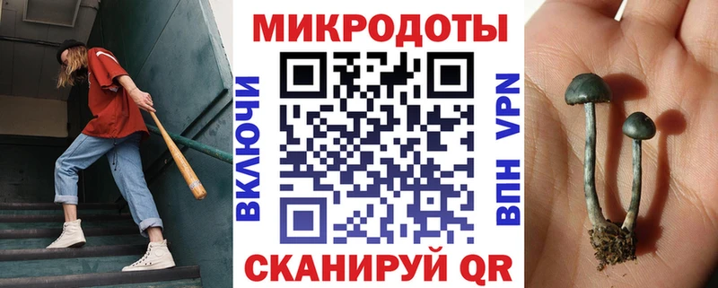 что такое наркотик Юхнов Галлюциногенные грибы Magic Shrooms